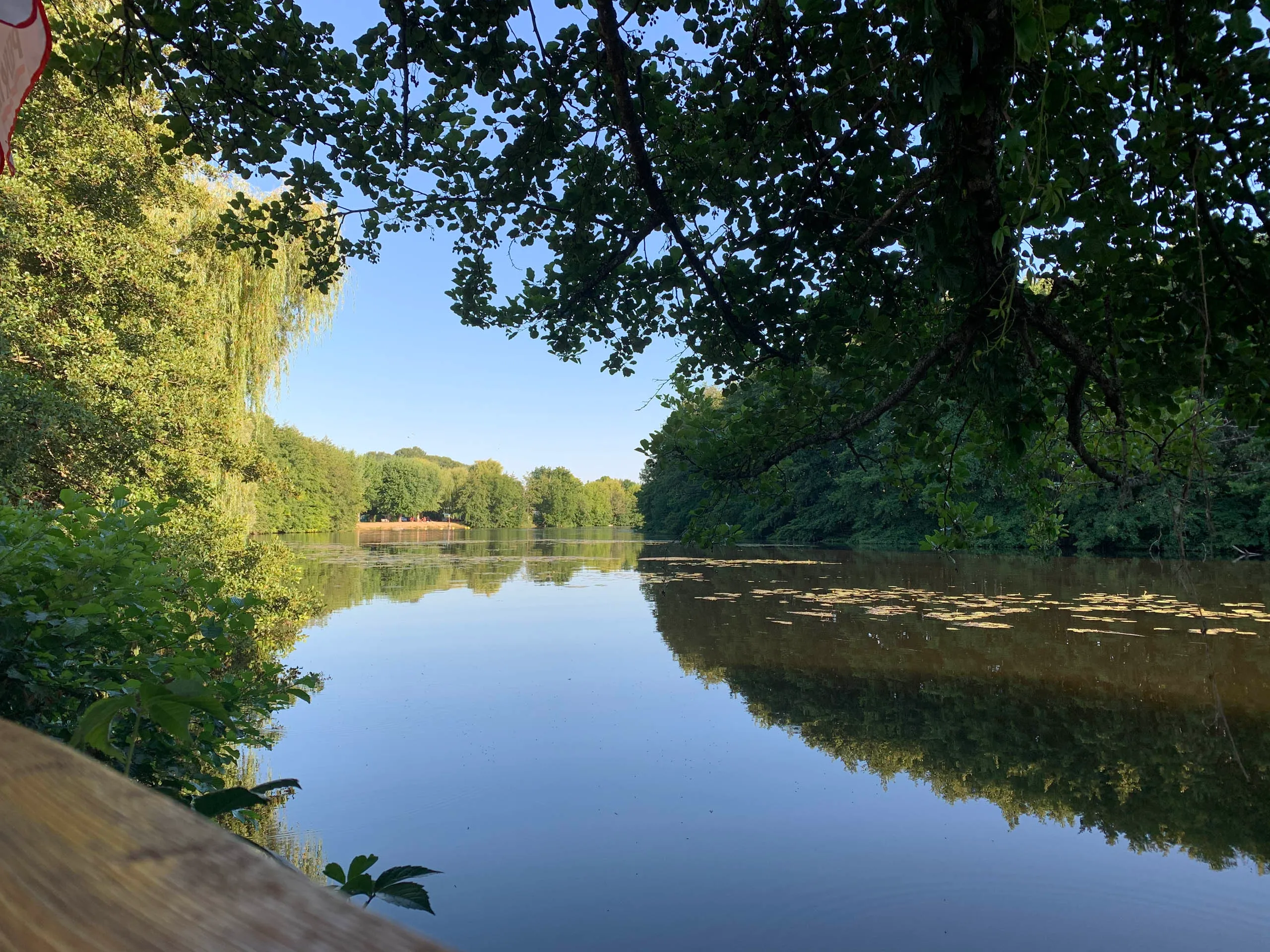 Aire de camping verdoyante à Vermenton, idéale pour les séjours en pleine nature