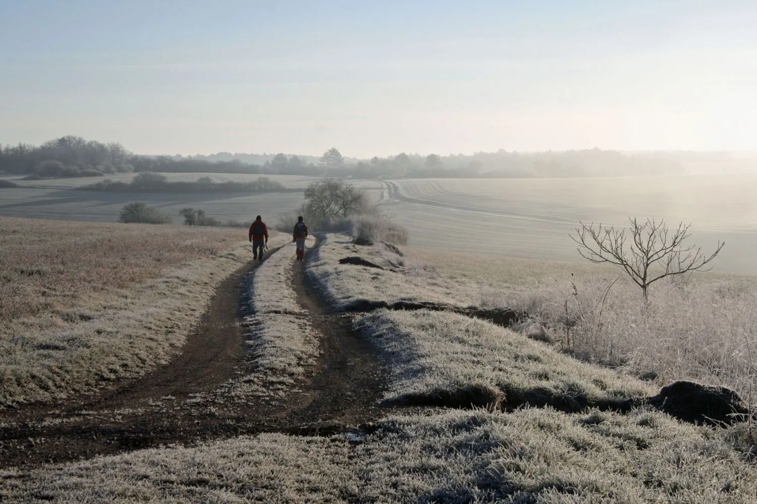 Paysage naturel près du sentier de randonnée GR13, à proximité de Lucy-sur-Cure